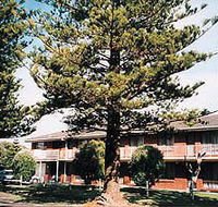 Eastern Beach Holiday Units - Accommodation Brisbane