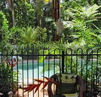 Daintree Rainforest Retreat Motel - Accommodation Brisbane