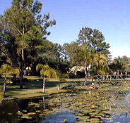 Twin Lakes Hotel - Accommodation Brisbane