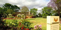 Houghton Winery - Accommodation Brisbane 0
