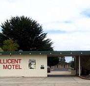 Millicent Motel - Accommodation Brisbane