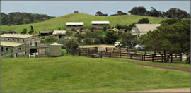 Cape Schanck VIC Accommodation Brisbane