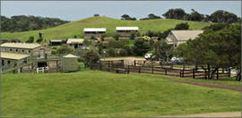 Ace Hi Riding Ranch - Accommodation Brisbane 0