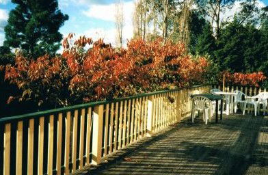 Heronswood House - Accommodation Brisbane 5