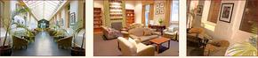 AnsoniA On Lydiard - Accommodation Brisbane 1