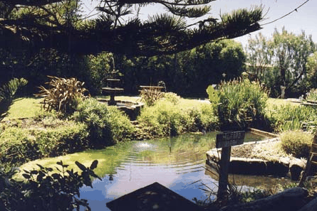 Bayside Gardens - Accommodation Brisbane