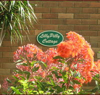 Lillypilly - Accommodation Brisbane