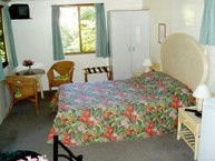 Kuranda Rainforest Accommodation Park - Accommodation Brisbane 2
