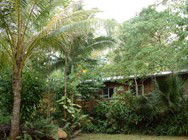 Kuranda Rainforest Accommodation Park - Accommodation Brisbane 3