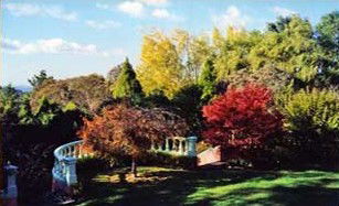 Bed And Breakfast Millers Point NSW Accommodation Brisbane