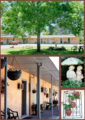 Arch Motel - Accommodation Brisbane 2