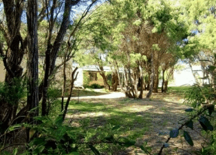Peaceful Bay Chalets - thumb 4