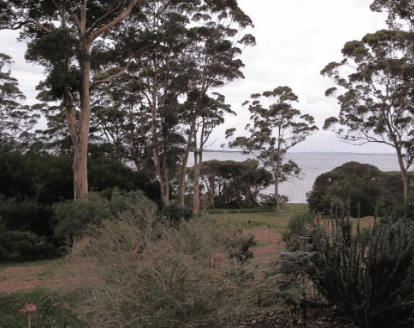 The Denmark Waterfront - Accommodation Brisbane 0