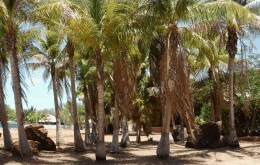 King Sound Resort Hotel - Accommodation Brisbane