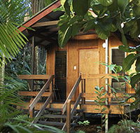 Cape Trib Beach House - Accommodation Brisbane