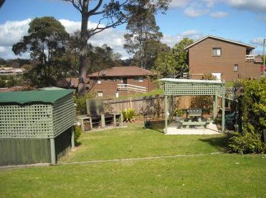 The Tree Motel - Accommodation Brisbane 0