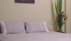 Stingo Hotel - Accommodation Brisbane 0