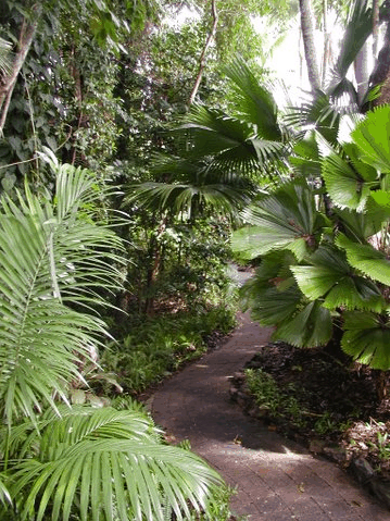 Rainforest Grove Holiday Resort - Accommodation Brisbane 1