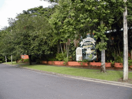 Rainforest Grove Holiday Resort - Accommodation Brisbane 2