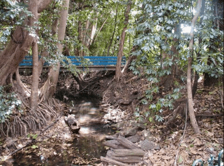 Rainforest Grove Holiday Resort - Accommodation Brisbane 3