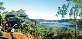 Daintree Cloud 9 - Accommodation Brisbane 1