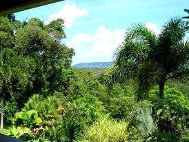 Daintree Manor - Accommodation Brisbane 3