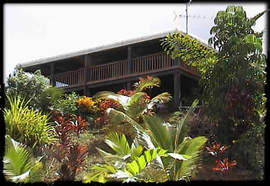 Daintree Manor - Accommodation Brisbane 5