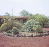 Beaufort Motel - Accommodation Brisbane