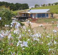The Blue Grape Vineyard Accommodation - Accommodation Brisbane