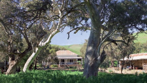Brooklyn Farm Bed And Breakfast - Accommodation Brisbane 0