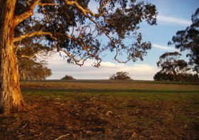 Mirrabooka Bed And Breakfast - Accommodation Brisbane 1