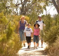 Long Island Caravan Park Cabins - Accommodation Brisbane
