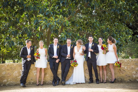 Willunga Peacock Farm Bed And Breakfast - Accommodation Brisbane 3