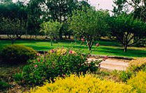 Naracoorte Cottages - Pinkerton Hill - Accommodation Brisbane 2