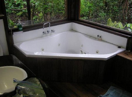 The Canopy Rainforest Tree Houses And Wildlife Sanctuary - Accommodation Brisbane 0