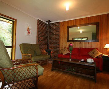 The Canopy Rainforest Tree Houses And Wildlife Sanctuary - Accommodation Brisbane 1