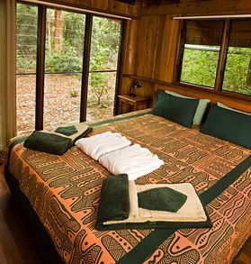 The Canopy Rainforest Tree Houses And Wildlife Sanctuary - Accommodation Brisbane 2
