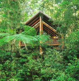 The Canopy Rainforest Tree Houses And Wildlife Sanctuary - Accommodation Brisbane 5