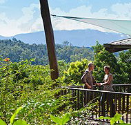 Rose Gums Wilderness Retreat - Accommodation Brisbane