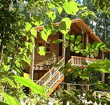 Rivers Edge Rainforest Retreat - Accommodation Brisbane