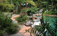 Galvins Edge Hill Bed And Breakfast - Accommodation Brisbane 5