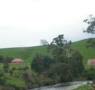 Tin Dragon Trail Cottages - Accommodation Brisbane