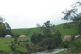 Tin Dragon Trail Cottages - Accommodation Brisbane 0