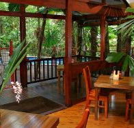Daintree Wilderness Lodge - Accommodation Brisbane