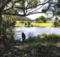 Newry Park Cottage - Accommodation Brisbane