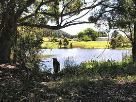 Newry Park Cottage - Accommodation Brisbane 0