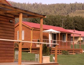 Maydena Country Cabins Accommodation & Alpaca Stud - Accommodation Brisbane 0