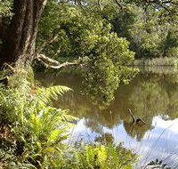 Weldborough Camping Ground - Accommodation Brisbane