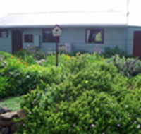 Engadine Cottage - Accommodation Brisbane