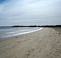 Greens Beach Caravan Park - Accommodation Brisbane